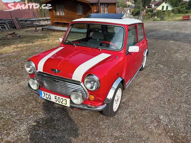 Rover Mini